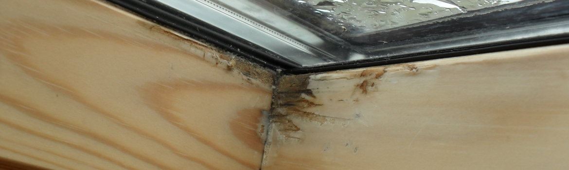 Moisissure sur une fenêtre en PVC: causes et solutions